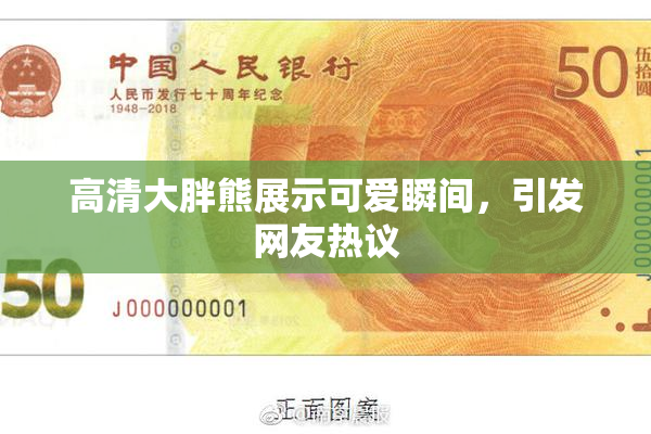 高清大胖熊展示可爱瞬间，引发网友热议