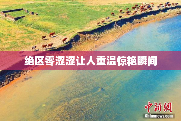 绝区零涩涩让人重温惊艳瞬间