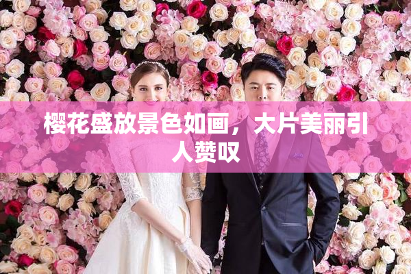 樱花盛放景色如画，大片美丽引人赞叹