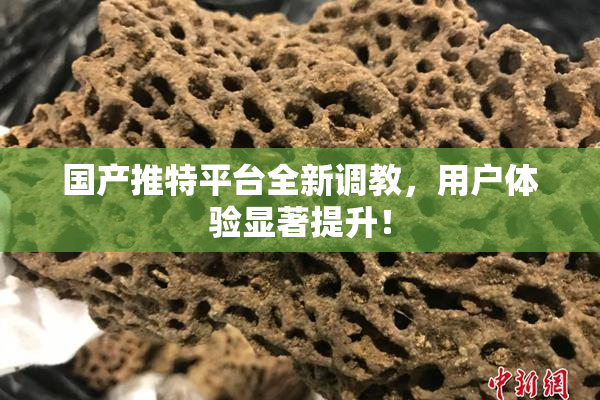 国产推特平台全新调教，用户体验显著提升！