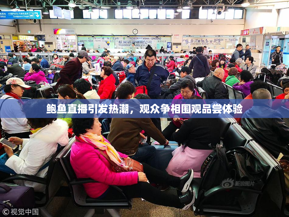 鲍鱼直播引发热潮，观众争相围观品尝体验