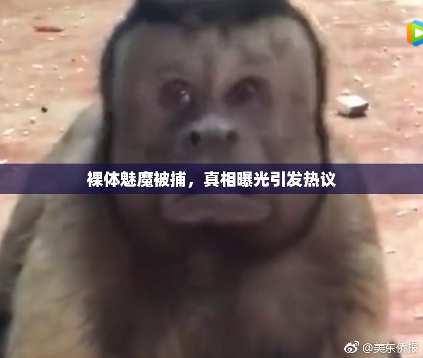 裸体魅魔被捕，真相曝光引发热议