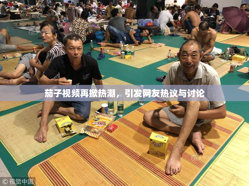 茄子视频再掀热潮，引发网友热议与讨论