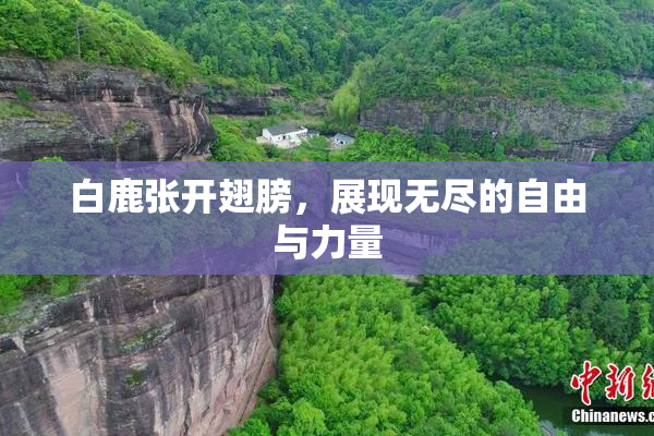 白鹿张开翅膀，展现无尽的自由与力量