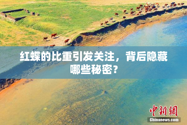 红蝶的比重引发关注，背后隐藏哪些秘密？