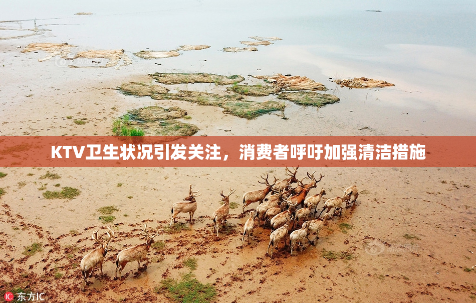 KTV卫生状况引发关注，消费者呼吁加强清洁措施