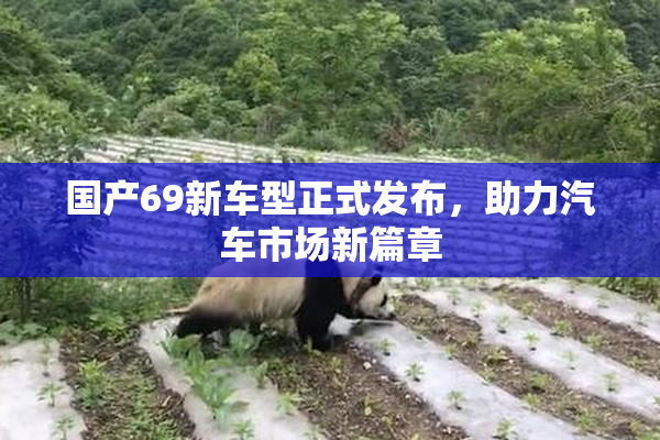国产69新车型正式发布，助力汽车市场新篇章