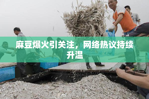 麻豆爆火引关注，网络热议持续升温