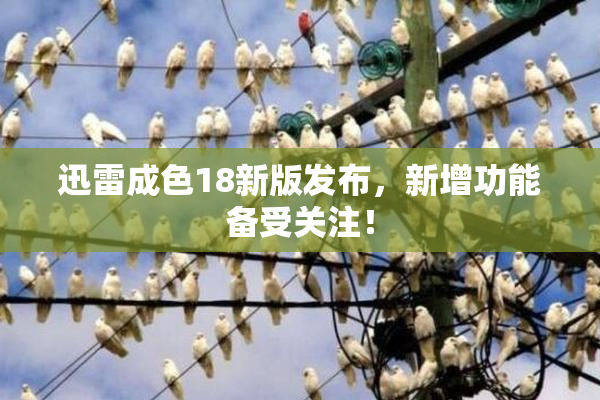 迅雷成色18新版发布，新增功能备受关注！