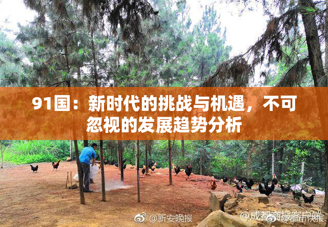 91国：新时代的挑战与机遇，不可忽视的发展趋势分析