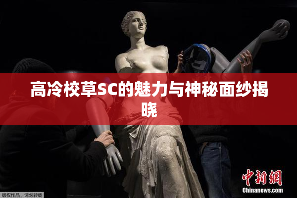 高冷校草SC的魅力与神秘面纱揭晓