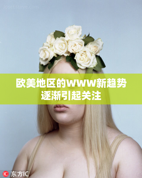 欧美地区的WWW新趋势逐渐引起关注
