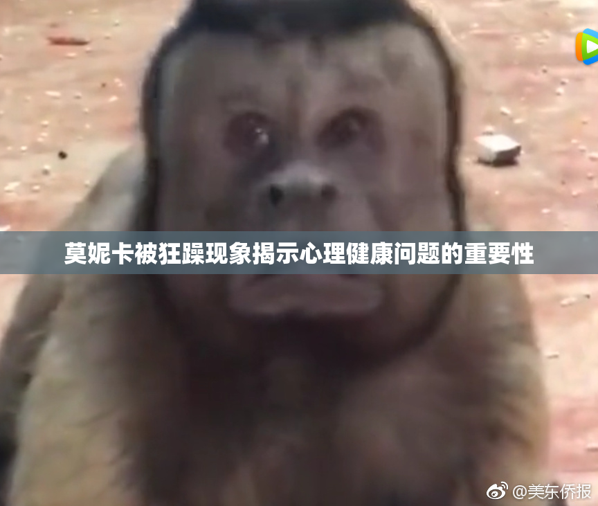 莫妮卡被狂躁现象揭示心理健康问题的重要性