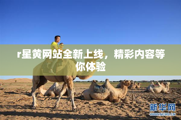 r星黄网站全新上线，精彩内容等你体验