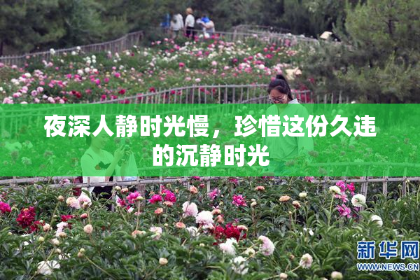 夜深人静时光慢，珍惜这份久违的沉静时光