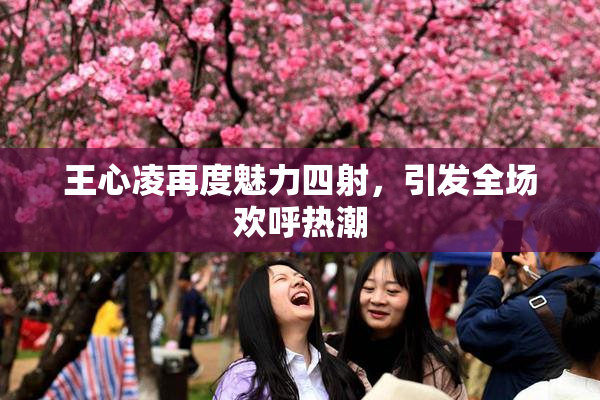 王心凌再度魅力四射，引发全场欢呼热潮