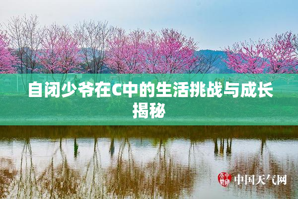 自闭少爷在C中的生活挑战与成长揭秘