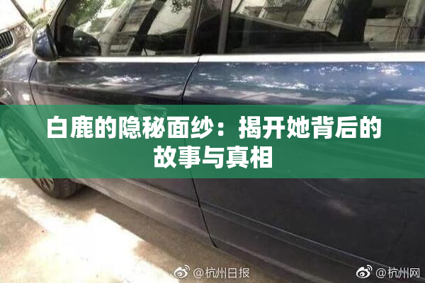 白鹿的隐秘面纱：揭开她背后的故事与真相