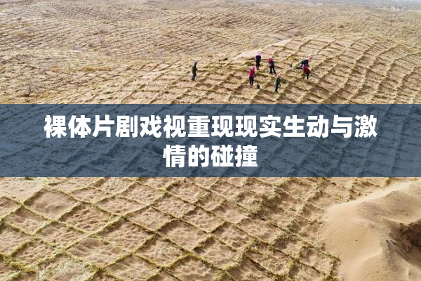 裸体片剧戏视重现现实生动与激情的碰撞