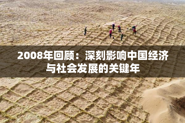 2008年回顾：深刻影响中国经济与社会发展的关键年