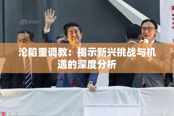 沦陷重调教：揭示新兴挑战与机遇的深度分析