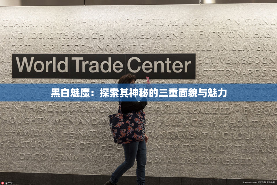 黑白魅魔：探索其神秘的三重面貌与魅力