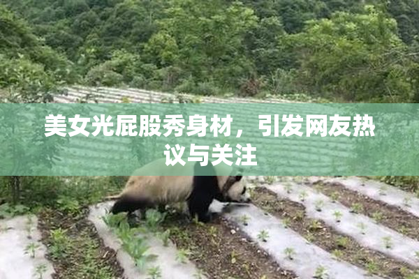 美女光屁股秀身材，引发网友热议与关注