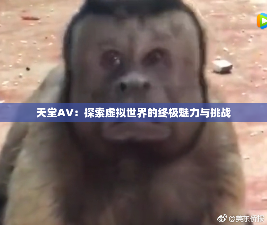 天堂A∨：探索虚拟世界的终极魅力与挑战