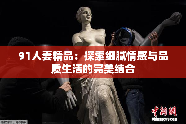 91人妻精品：探索细腻情感与品质生活的完美结合