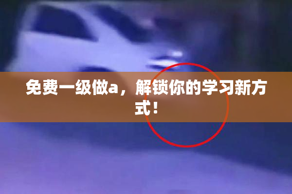 免费一级做a，解锁你的学习新方式！