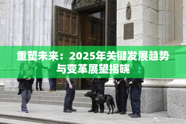 重塑未来：2025年关键发展趋势与变革展望揭晓