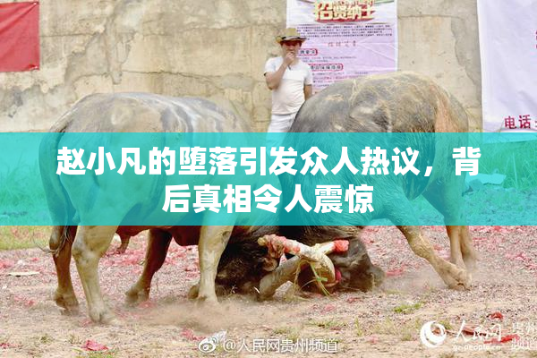 赵小凡的堕落引发众人热议，背后真相令人震惊