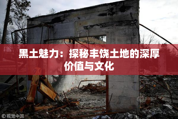 黑土魅力：探秘丰饶土地的深厚价值与文化