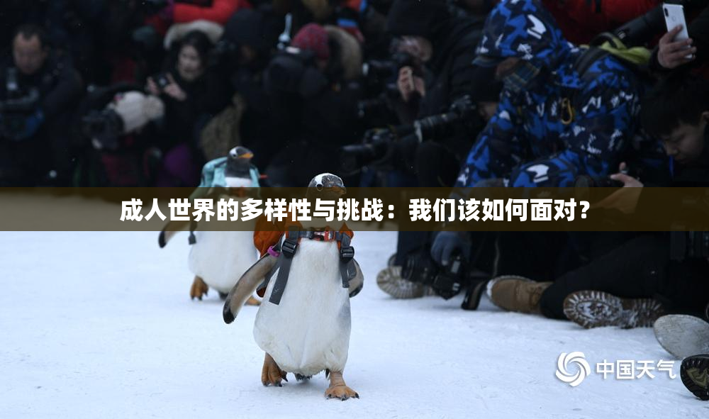 成人世界的多样性与挑战：我们该如何面对？