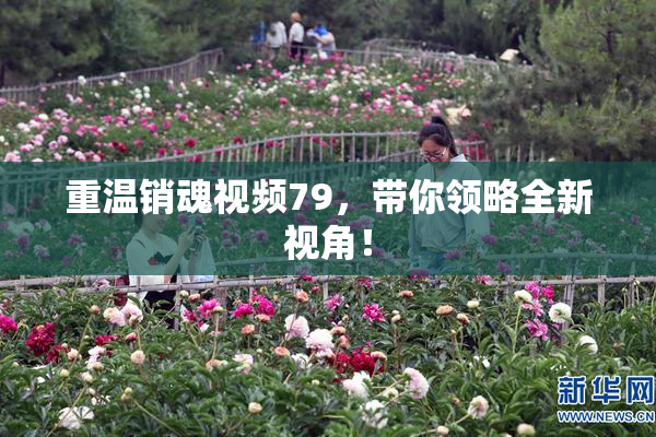 重温销魂视频79，带你领略全新视角！