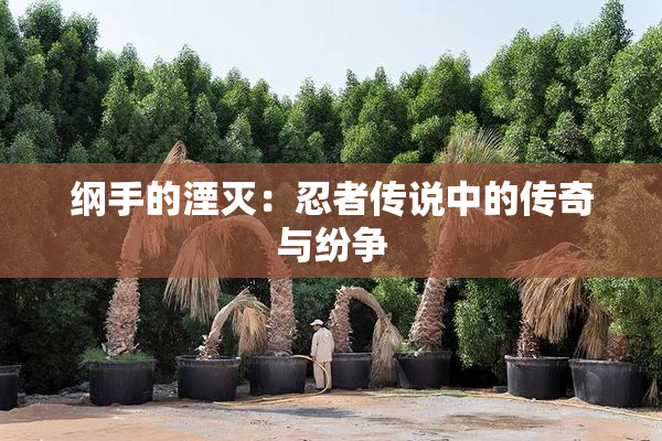 纲手的湮灭：忍者传说中的传奇与纷争