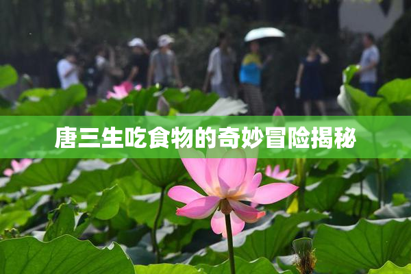 唐三生吃食物的奇妙冒险揭秘