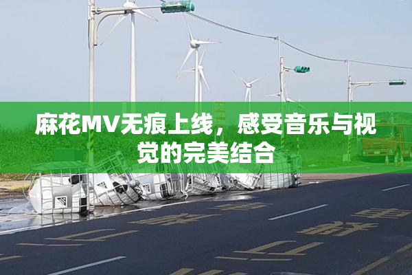 麻花MV无痕上线，感受音乐与视觉的完美结合
