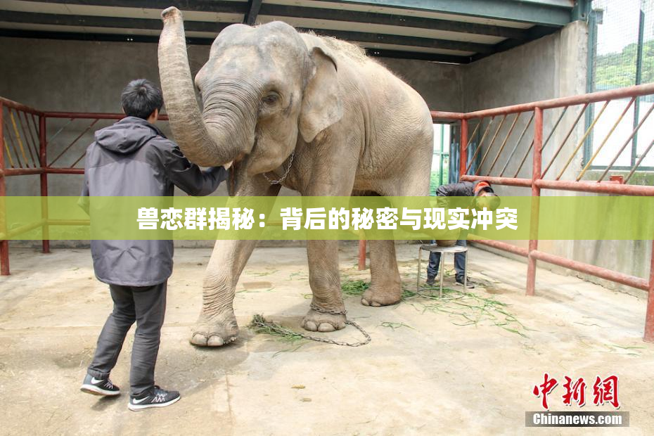 兽恋群揭秘：背后的秘密与现实冲突