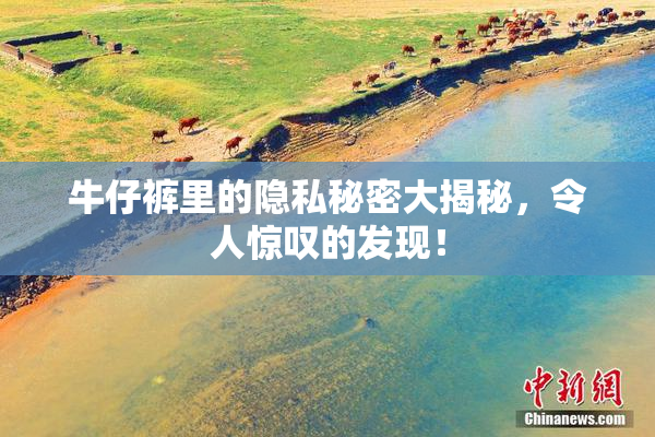 牛仔裤里的隐私秘密大揭秘，令人惊叹的发现！