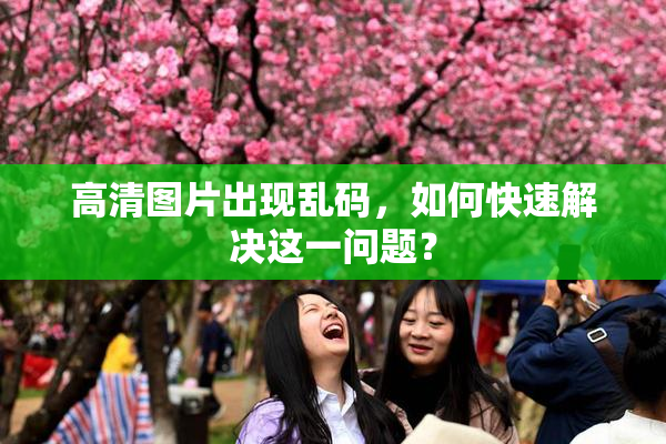 高清图片出现乱码，如何快速解决这一问题？