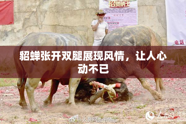 貂蝉张开双腿展现风情，让人心动不已