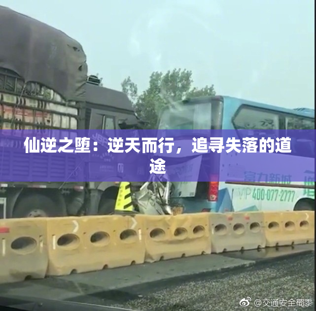 仙逆之堕：逆天而行，追寻失落的道途