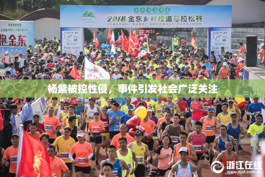 杨紫被控性侵，事件引发社会广泛关注