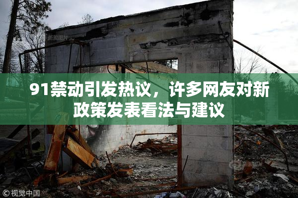 91禁动引发热议，许多网友对新政策发表看法与建议