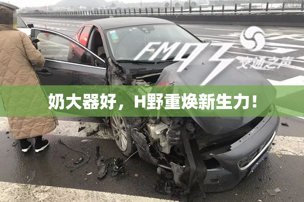 奶大器好，H野重焕新生力！