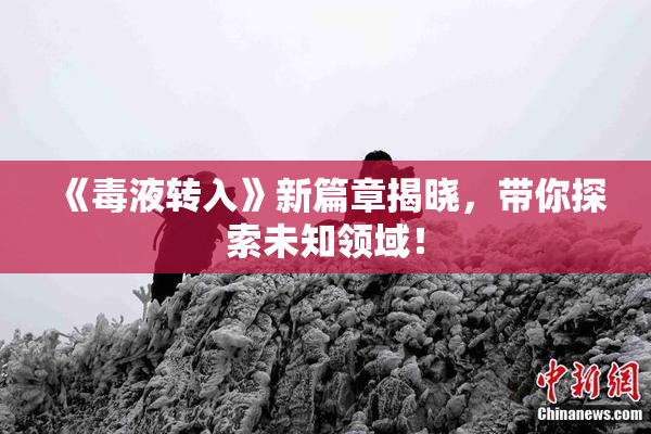 《毒液转入》新篇章揭晓，带你探索未知领域！