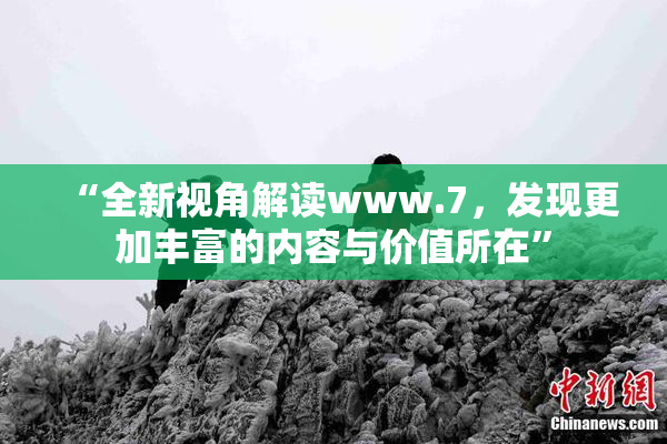 “全新视角解读www.7，发现更加丰富的内容与价值所在”