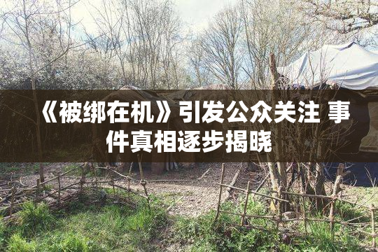 《被绑在机》引发公众关注 事件真相逐步揭晓