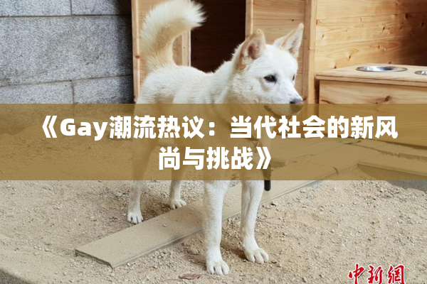 《Gay潮流热议：当代社会的新风尚与挑战》
